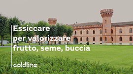 發酵。烹飪的過去和未來