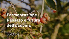 乾燥以增強果實、種子和果皮