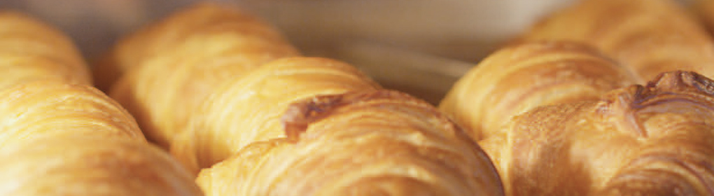 MORETTI FORNI．義大利工廠級烘焙烤箱NO.1