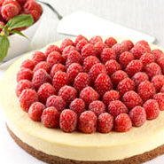 巧克力模具．烘焙模具．蛋糕模具．餅乾模具．軟糖模具