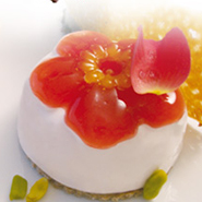 巧克力模具．烘焙模具．蛋糕模具．餅乾模具．軟糖模具